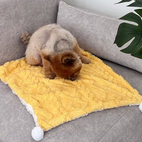 보드미펫 강아지 고양이 이불 담요, 옐로우, 1개