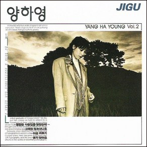 (CD) 양하영 - 2집 영원한 사랑인줄 알았는데, 단품