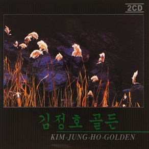 [추억나라] 2CD-김정호 골든, 1개