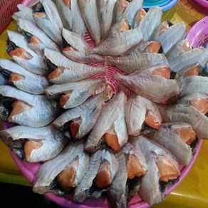 웰빙건어물 [반짝세일]반건조 알가자미 2kg 참가자미 국산 알가자미 납세미, 2개, 1kg짜리 2봉
