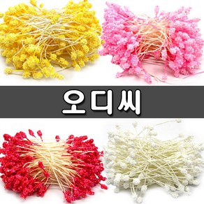 [지은아트] 씨앗 오디씨 - 색상선택, 흰색, 1개