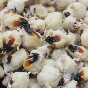 나라수산 산지직송 국산 동해안 생물 오징어입 400g, 생물오징어입(400g), 1개