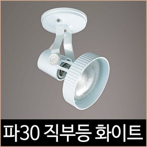 키고조명 파30 직부 화이트 백색 파삼공 PAR30 직부등 기구 LED, 단품, 1개