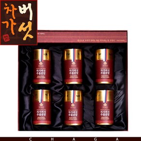 차가버섯 동결건조 추출분말, 300g, 1개