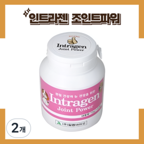 인트라젠 조인트 파워 애견 종합 영양제, 120정, 뼈/관절강화, 2개