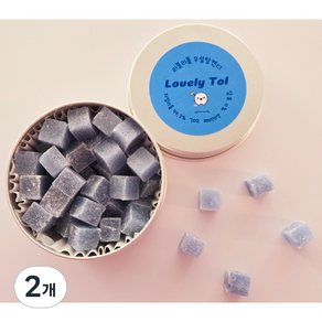 자일리톨 스톤 페퍼민트 부스터 70g, 2개