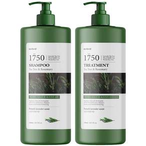 메르헨트 티트리 로즈마리 샴푸&트리트먼트 1500ml x 1세트 대용량 약산성 퍼퓸 향기좋은, 1개, 프렌치라벤더, 1.5L