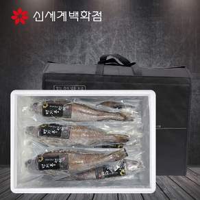 올바른수산