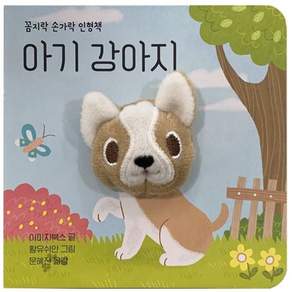 보림