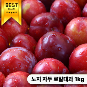 [압도적주문량1등] 13brix 새콤달콤 고당도 자두, 1개, 로얄대과 1kg