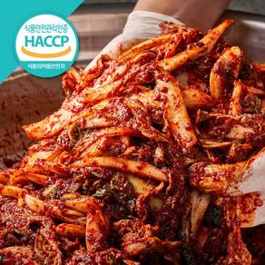 매운 배추 겉절이 김치 삼대본가김치 2.5kg 2단계(무섭게 매운맛), 1개