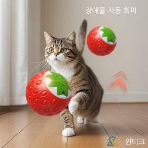 윈티크 고양이 불빛 스마트볼 잡기 딸기 장난감, 1개, 레드