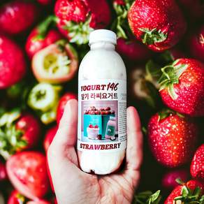 1등급 원유 100% 수제 플레인 라씨 요거트 대용량 500ml 허니 딸기 망고 블루베리, 05.  블루베리 라씨 요거트, 1개, 1개입