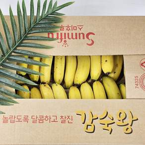 쥬스용 낱발 고당도 바나나, 3kg 내외, 1개