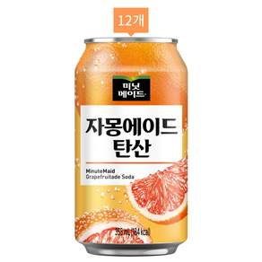 미닛메이드 자몽에이드 탄산, 355ml, 12개