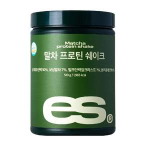 이츠스포츠 단백질 쉐이크 말차맛, 510g, 1개