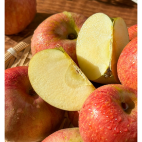 [착한가격] 과일맛집 가정용 청송 빨간사과 부사사과, 1박스, 2kg(소과)