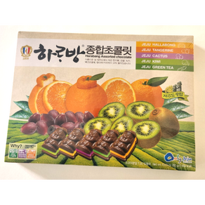 온리제주
