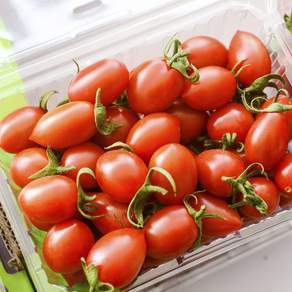 [농장직송] 신선한 대추방울토마토, 1개, 1.5kg 특상(2팩)