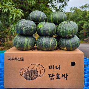 포슬포슬 제주 미니 밤호박, 1박스, 2kg(4-10과)특품