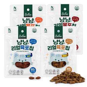 베푸 냥냥리얼 육포칩 고양이 간식, 50g, 4개, 혼합구성(소고기,참치,황태,치킨)