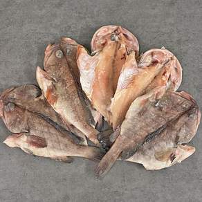 국내가공 손질 능성어 해풍건조 제수용생선 20-23cm 찜 구이 반건조생선, 1세트, 5미