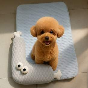 시원하시개 반려동물 강아지 쿨매트 방석 시원한 쿨링 쿠션 소형견 중형견 대형견, 1개