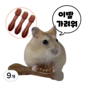 (best상품) 햄스터 이갈이 덴탈츄 비건 간식 인기만점!! 핑크, 9개