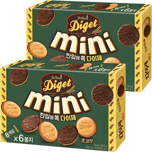 오리온 다이제 미니 초코 234g, 2개