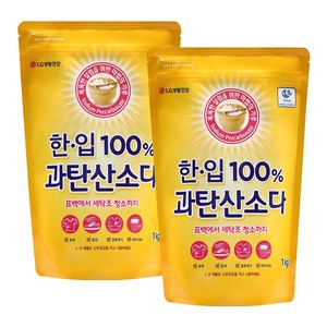 한입 100% 과탄산소다, 1kg, 2개