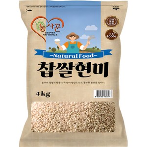 농사꾼 찹쌀현미 찰현미, 4kg, 1개