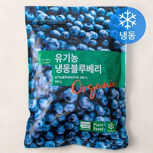 딜라잇가든 유기가공식품 인증 블루베리 (냉동), 900g, 1개