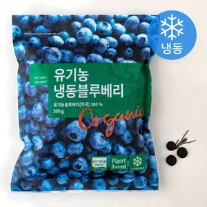 딜라잇가든 유기가공식품 인증 블루베리 (냉동), 500g, 1개