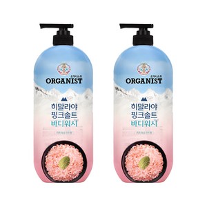 오가니스트 히말라야 핑크솔트 풍성한 거품 산뜻한 바디워시 민트향, 900ml, 2개