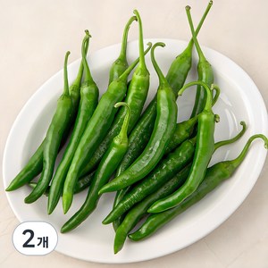 국내산 청양고추, 300g, 2개