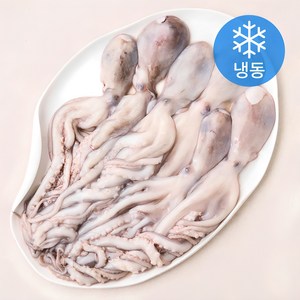 비비수산 살아있을때 얼린 신선한 낙지 (냉동), 1개, 850g(6미)