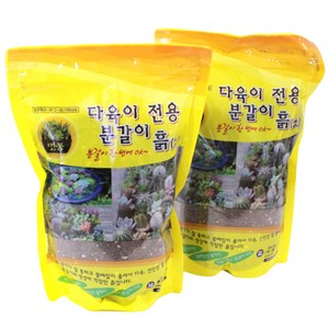 모리앤 다육이 전용 분갈이 흙, 2개입