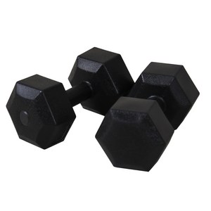 이고진 블랙육각 덤벨