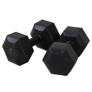 이고진 블랙육각 덤벨 아령