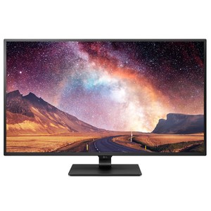 LG전자 107.9cm HD 울트라 모니터, 43UD79