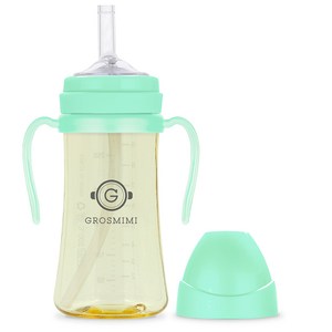 그로미미 PPSU 빨대컵 300ml, 아쿠아그린, 1개