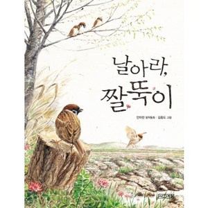 날아라 짤뚝이:안미란 창작동화, 사계절, 사계절 저학년문고 시리즈