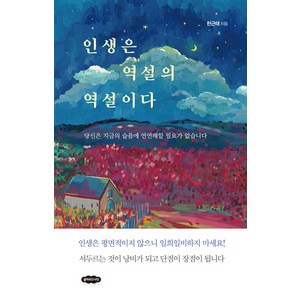 [클라우드나인]인생은 역설의 역설이다 : 당신은 지금의 슬픔에 연연해할 필요가 없습니다 (개정판), 클라우드나인, 한근태