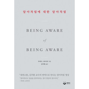 [퍼블리온]알아차림에 대한 알아차림 : 『내면소통』김주환 교수의 번역으로 만나는 알아차림 명상, 퍼블리온, 루퍼트 스파이라