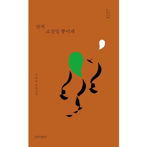 [문학실험실]단지 소설일 뿐이네 - 틂 창작문고 21, 문학실험실, 구병모