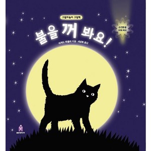 [보림]불을 꺼 봐요! : 그림자놀이 그림책 - 아티비티(Art + Activity (팝업북), 보림, 리처드 파울러