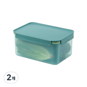 락앤락 프레쉬 프로텍트 밀폐용기 그린, 4.4L, 2개