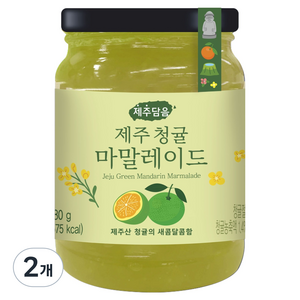 오뚜기 제주담음 제주청귤마말레이드, 280g, 2개