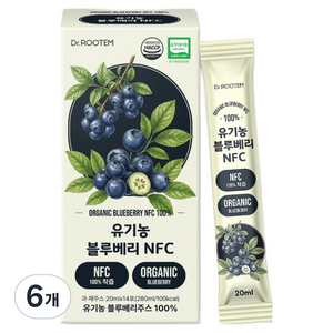 닥터루템 유기농 블루베리 NFC 착즙 100 14p, 280ml, 6개