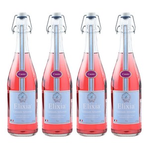 엘릭시아 블랙커런트맛 탄산음료, 750ml, 4개